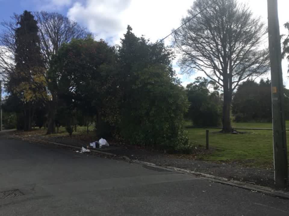 The photograph attached to this rubbish/recycling report