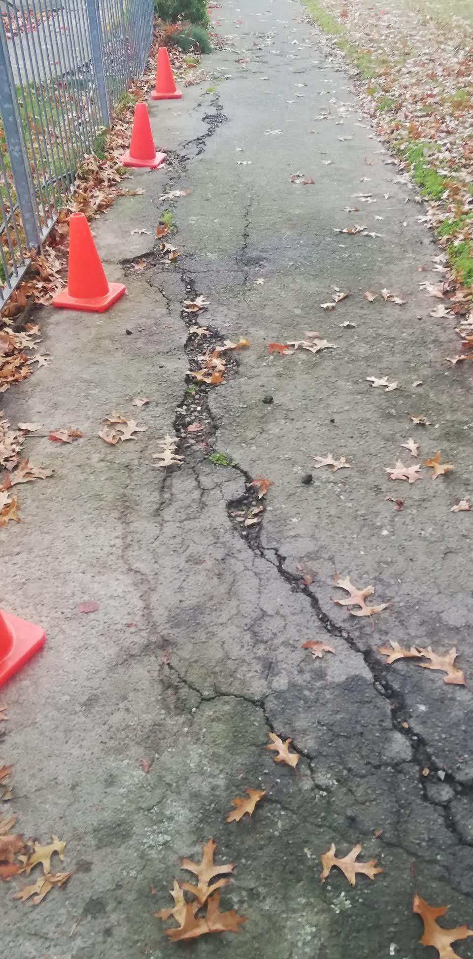 The photograph attached to this parks report