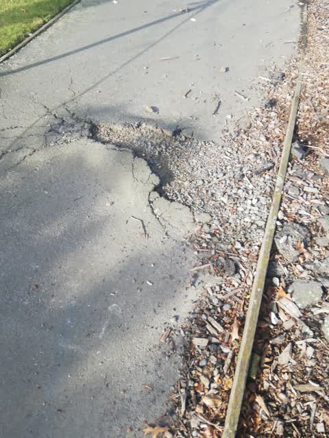 Roading/Streets, a report photo
