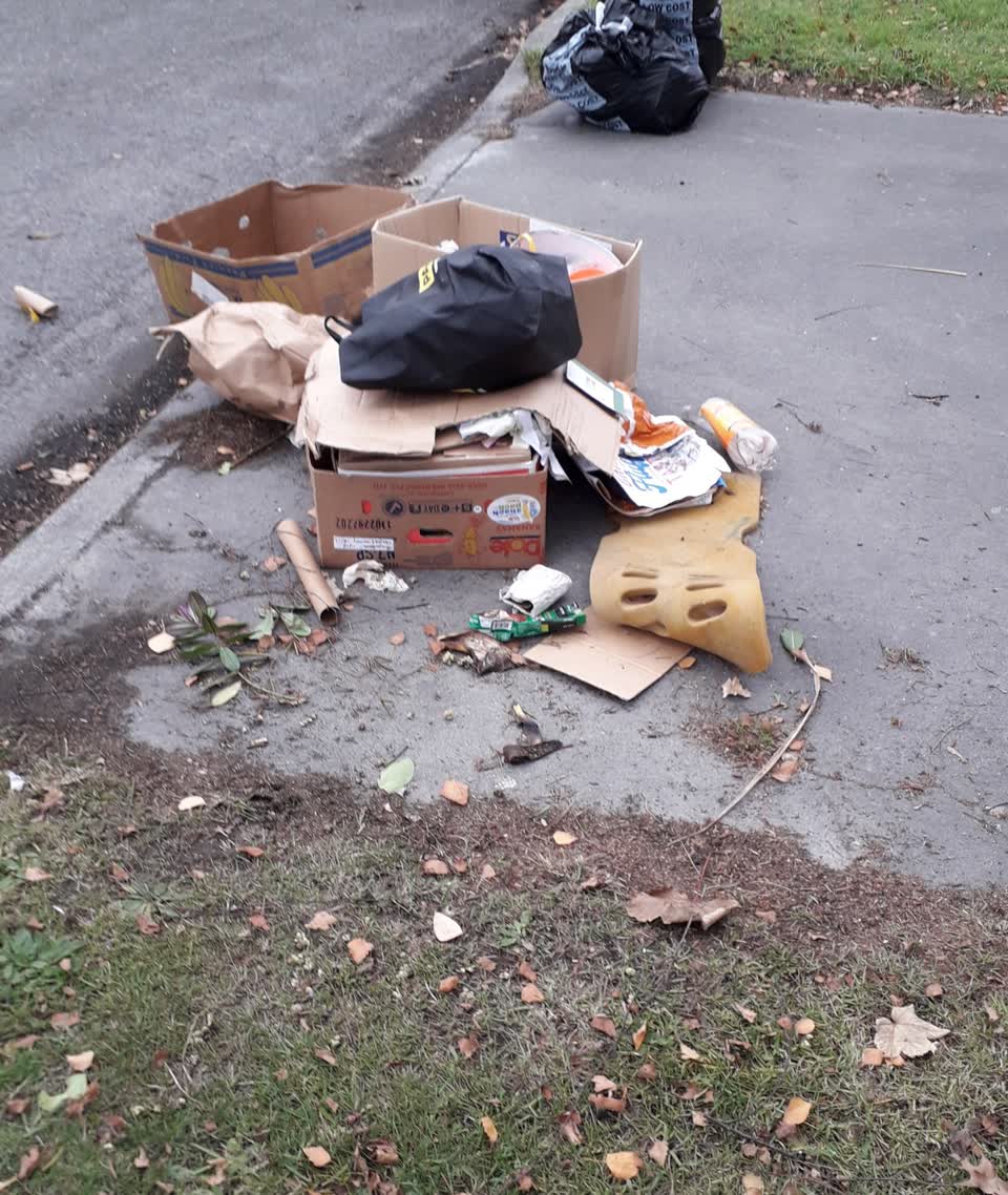 The photograph attached to this rubbish/recycling report