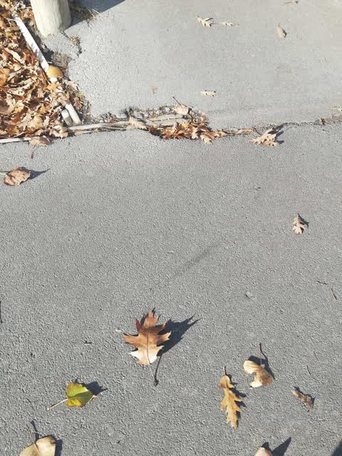 Roading/Streets, a report photo