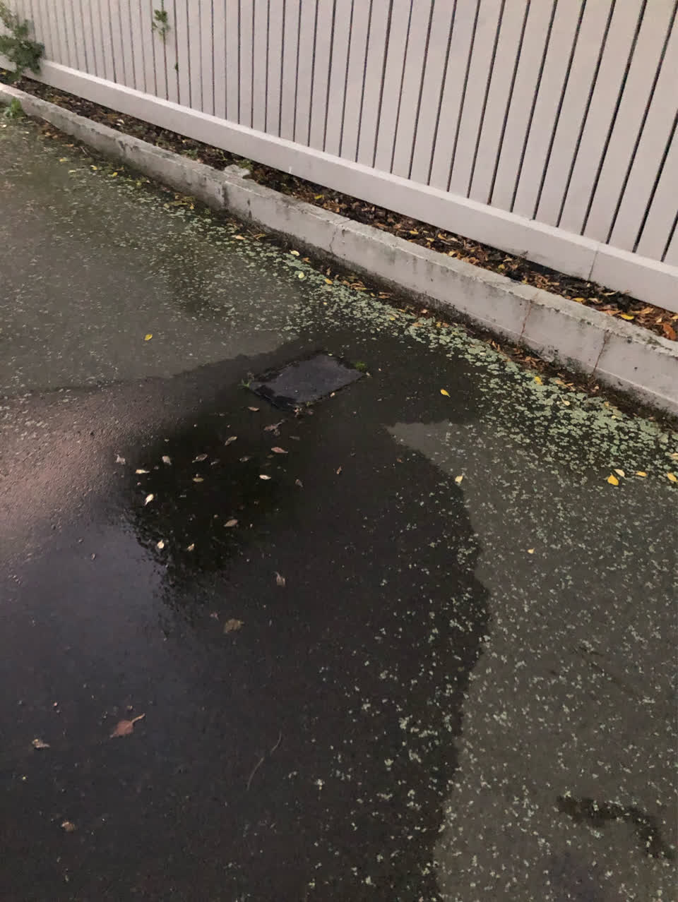 The photograph attached to this water supply report