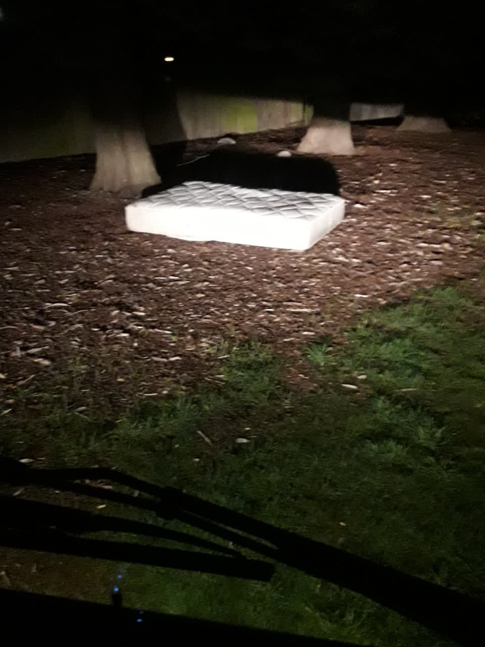 The photograph attached to this parks report