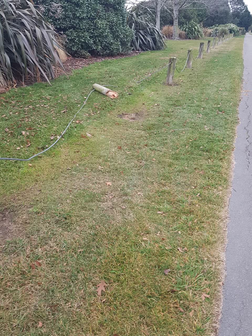 The photograph attached to this parks report