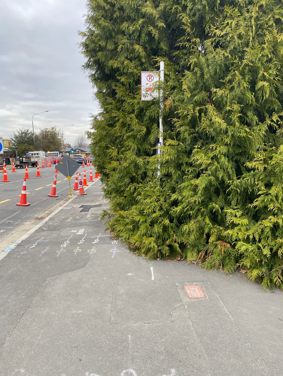 The photograph attached to this roading/streets report