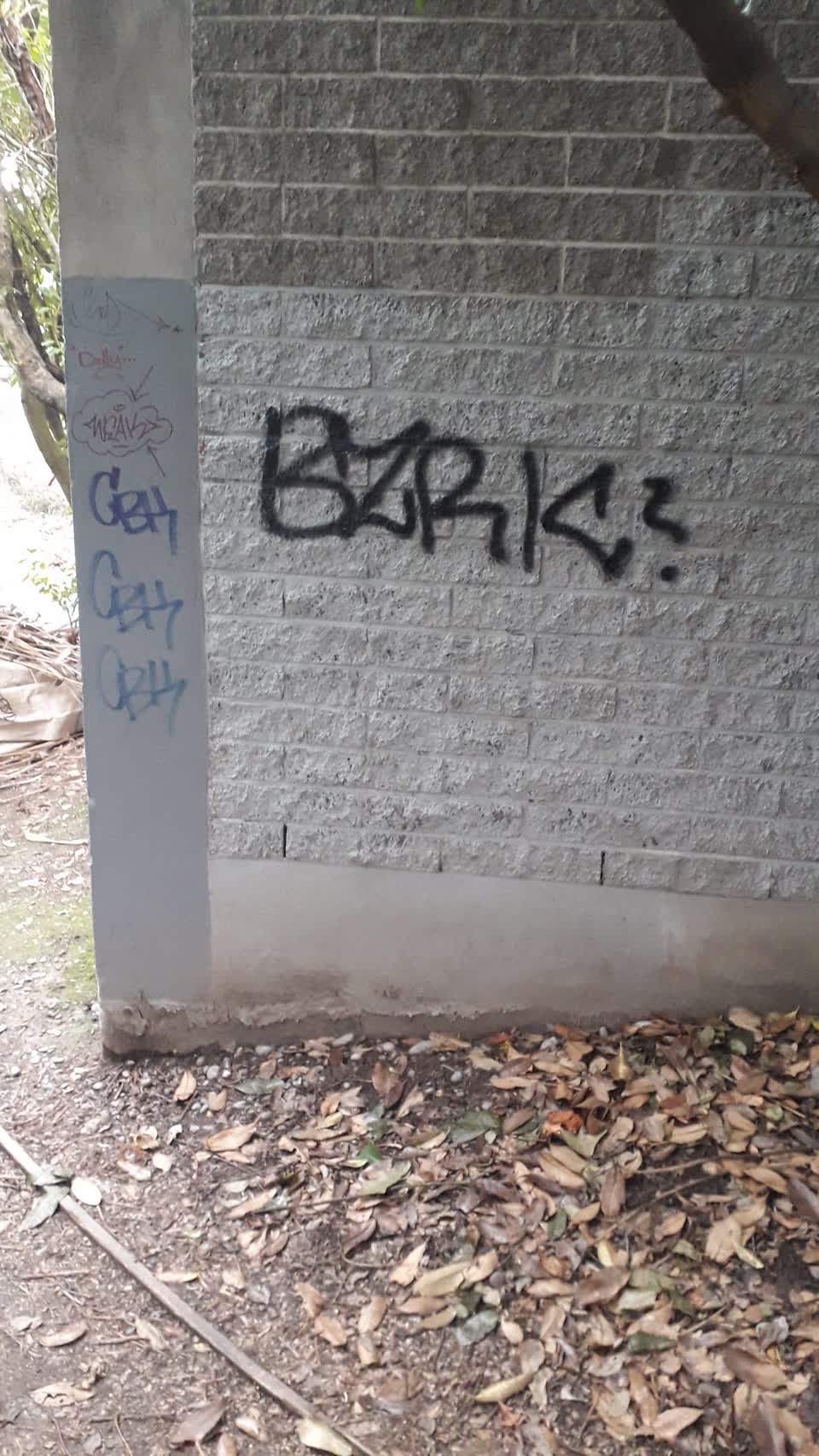The photograph attached to this graffiti report