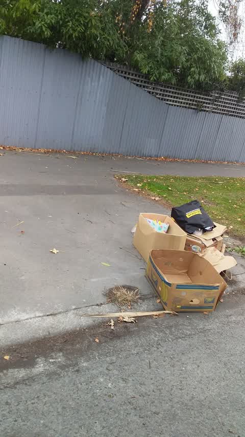 Rubbish/Recycling, a report photo