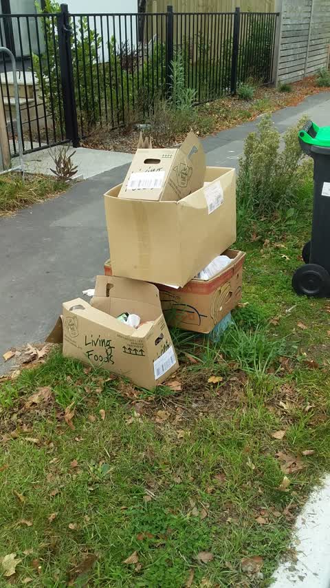 Rubbish/Recycling — a report photo