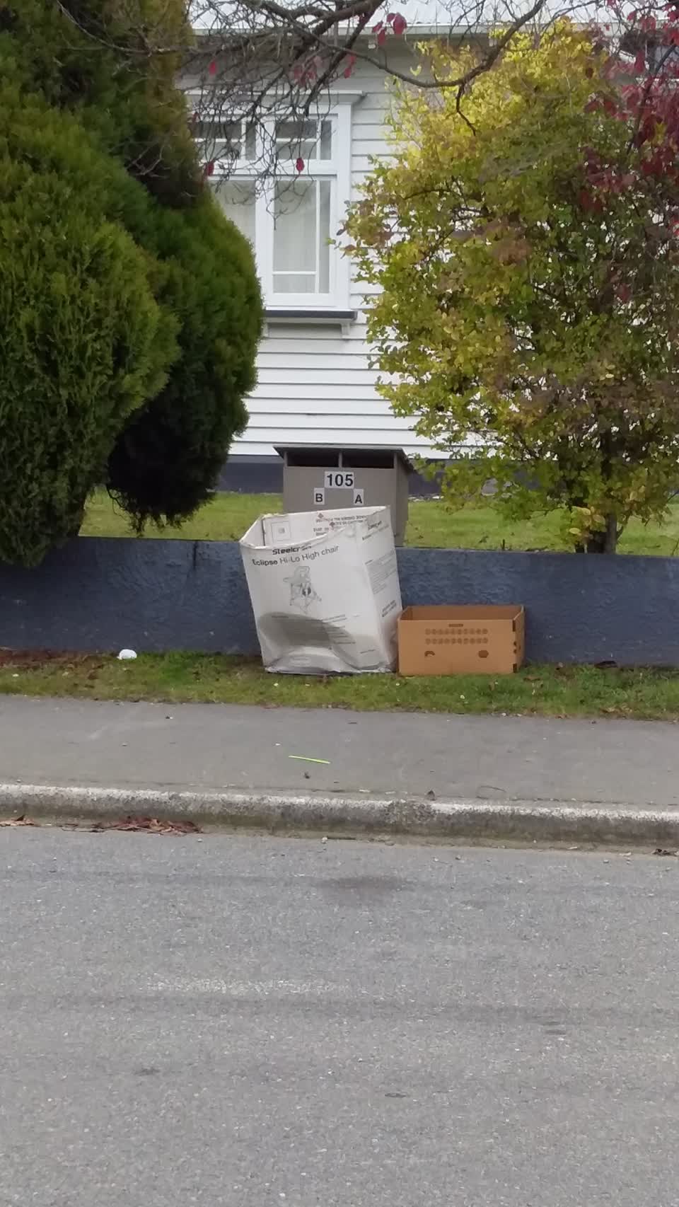 The photograph attached to this rubbish/recycling report