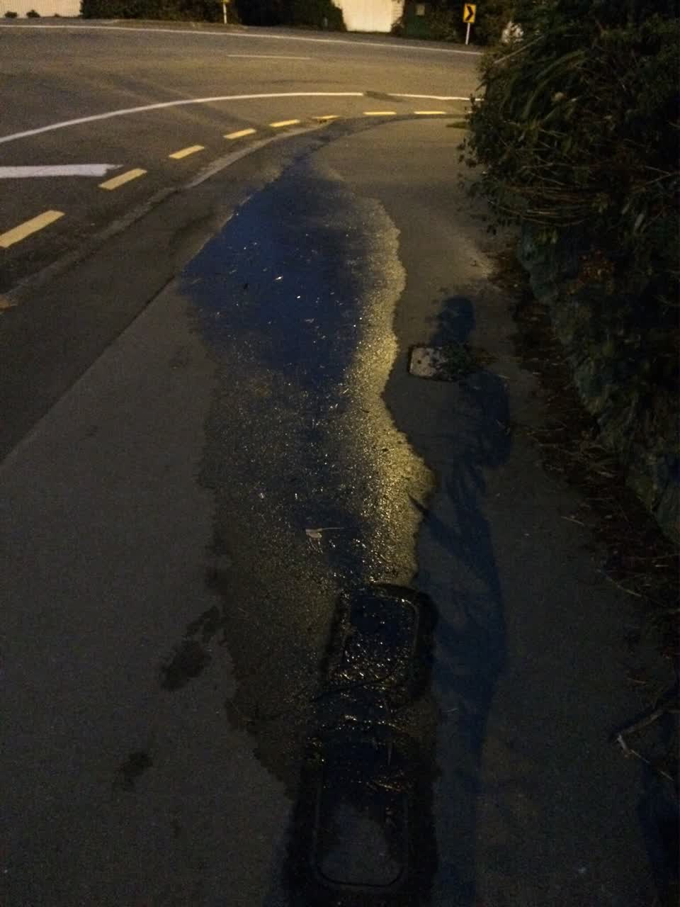 The photograph attached to this water supply report