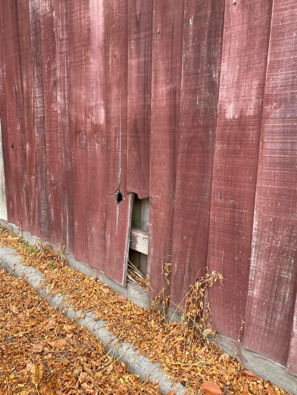 The photograph attached to this parks report