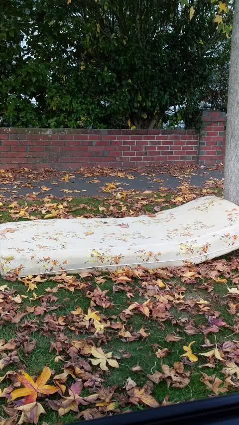 Rubbish/Recycling, a report photo
