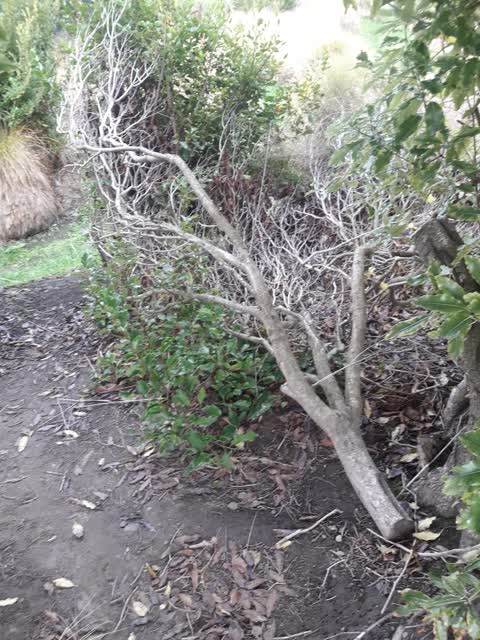 Parks, a report photo
