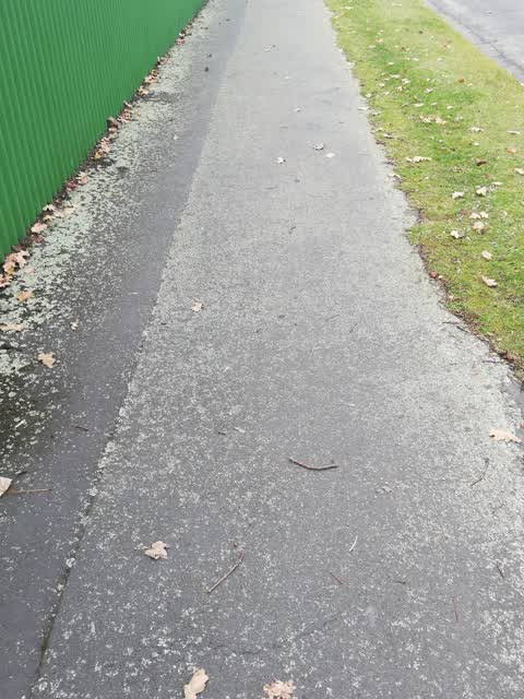 Roading/Streets, a report photo