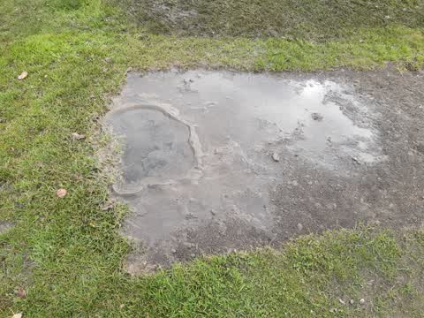 Parks, a report photo