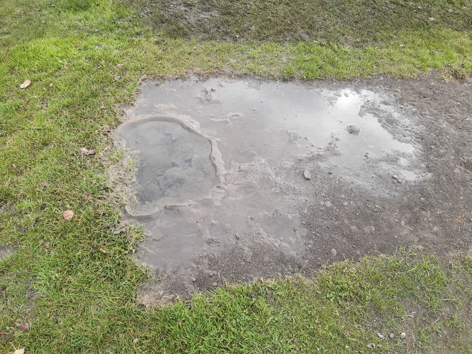 The photograph attached to this parks report