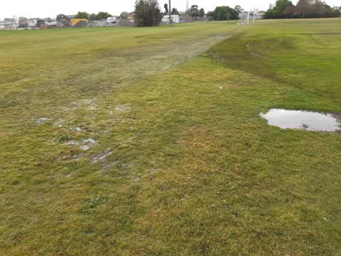 Parks, a report photo