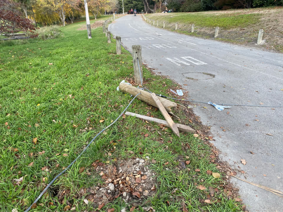 The photograph attached to this parks report
