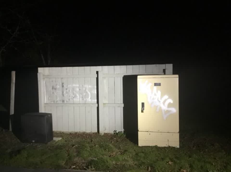 The photograph attached to this graffiti report