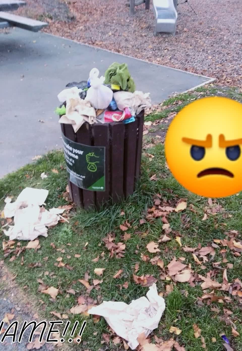 The photograph attached to this parks report