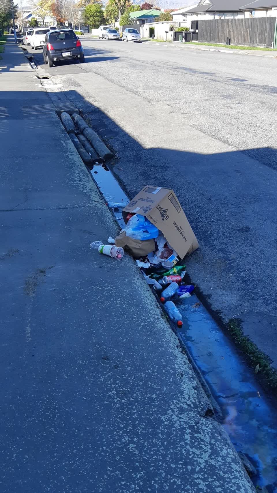 The photograph attached to this rubbish/recycling report