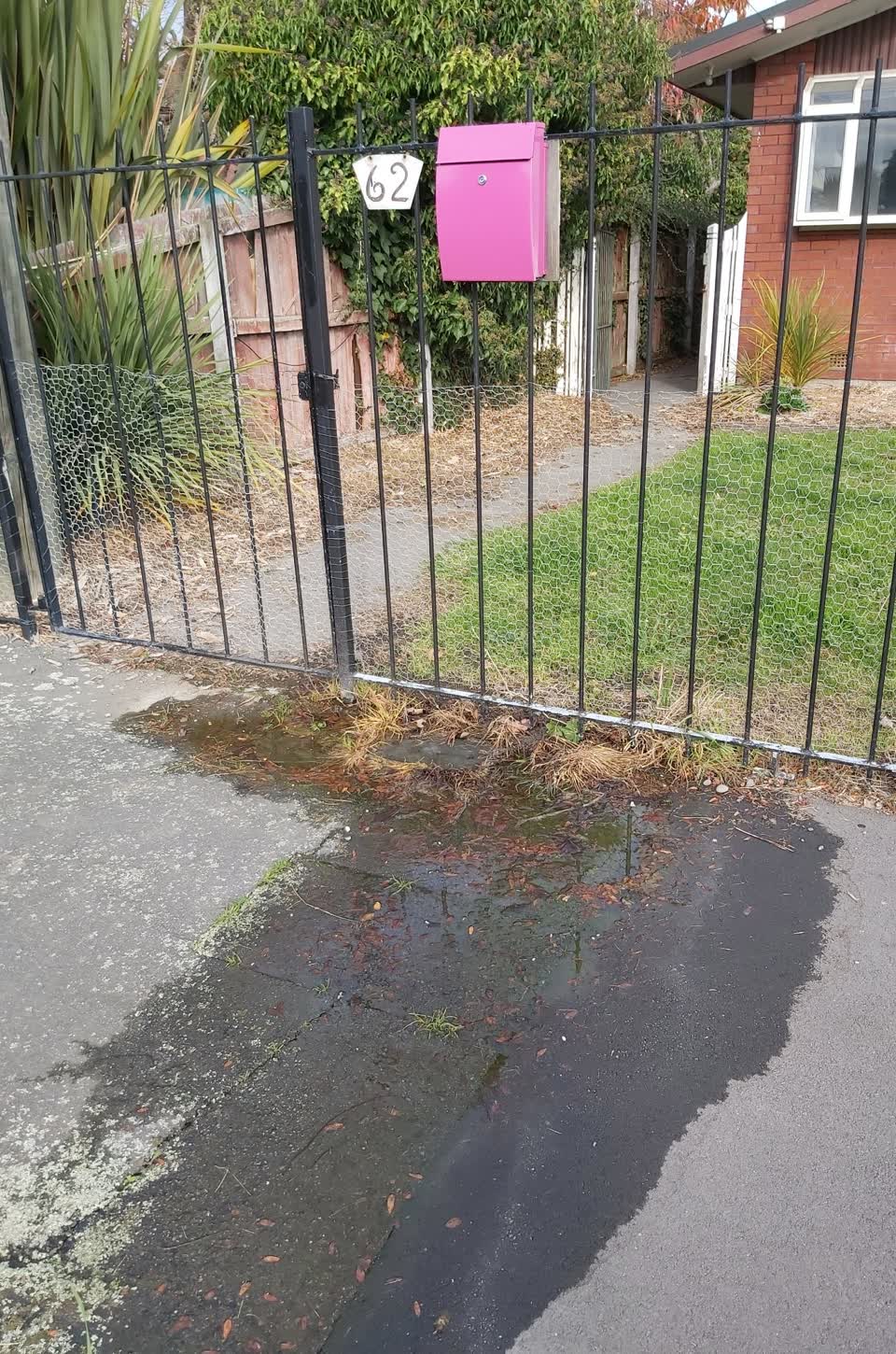 The photograph attached to this water supply report
