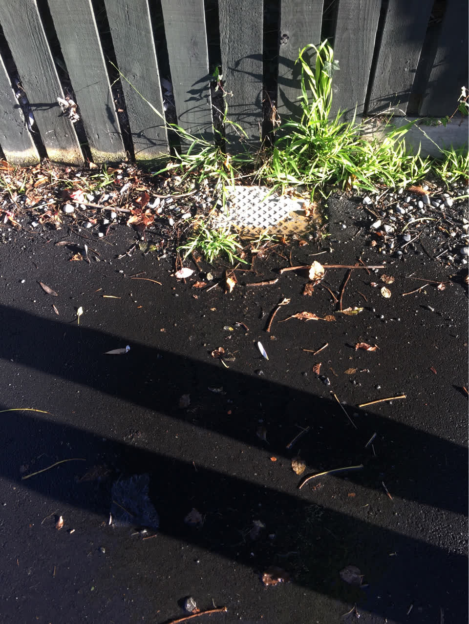 The photograph attached to this water supply report