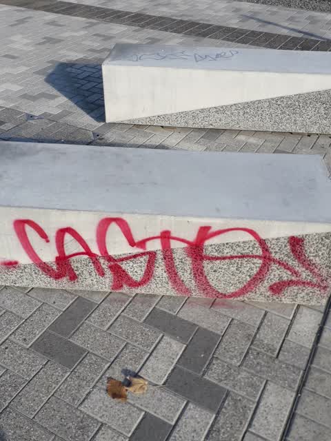 Graffiti, a report photo