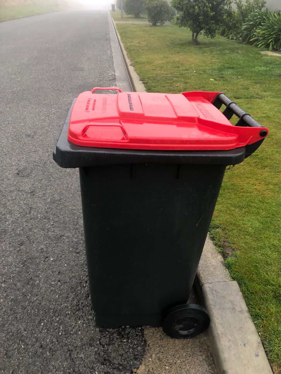 The photograph attached to this rubbish/recycling report