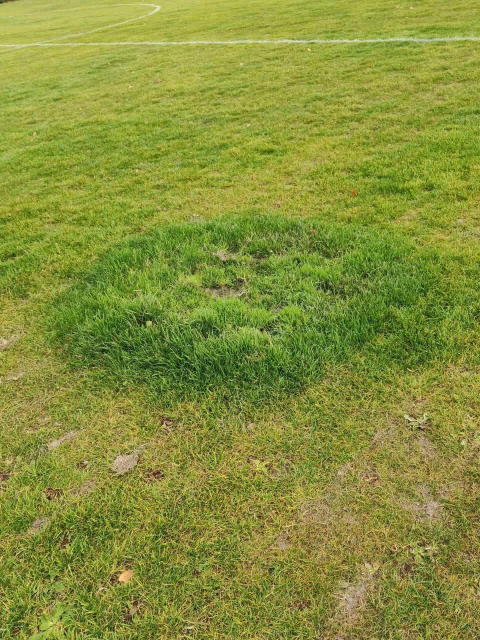 The photograph attached to this parks report