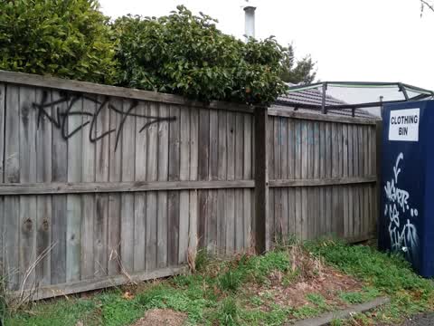 Graffiti, a report photo