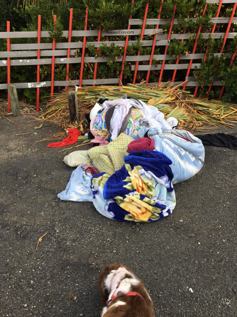 Parks, a report photo