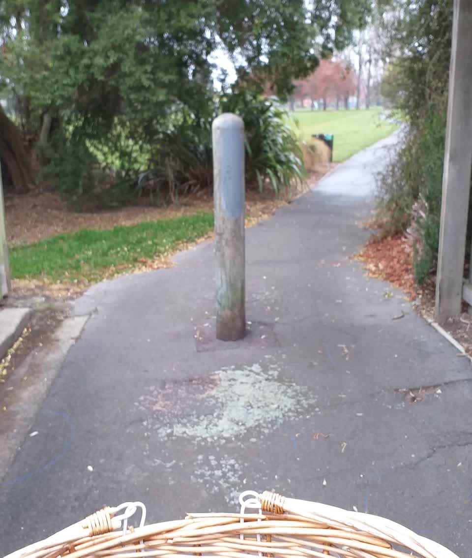 The photograph attached to this parks report