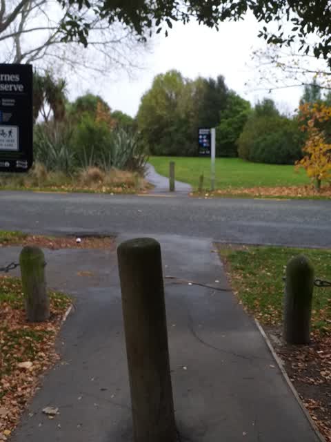 Parks, a report photo
