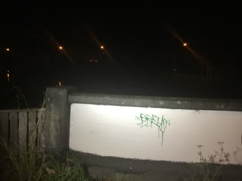 The photograph attached to this graffiti report