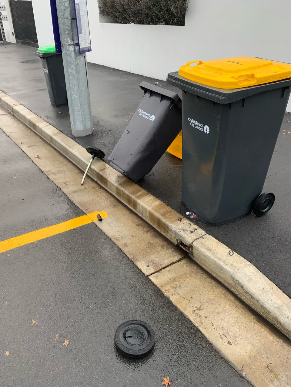 The photograph attached to this rubbish/recycling report