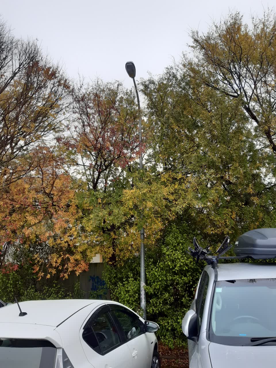 The photograph attached to this parks report