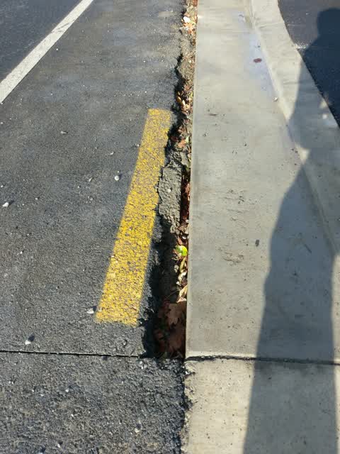 Roading/Streets, a report photo