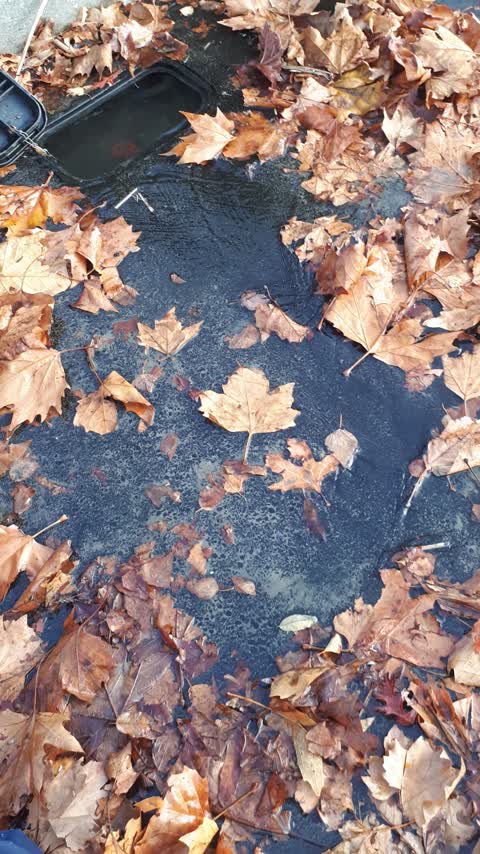 Flooding, a report photo