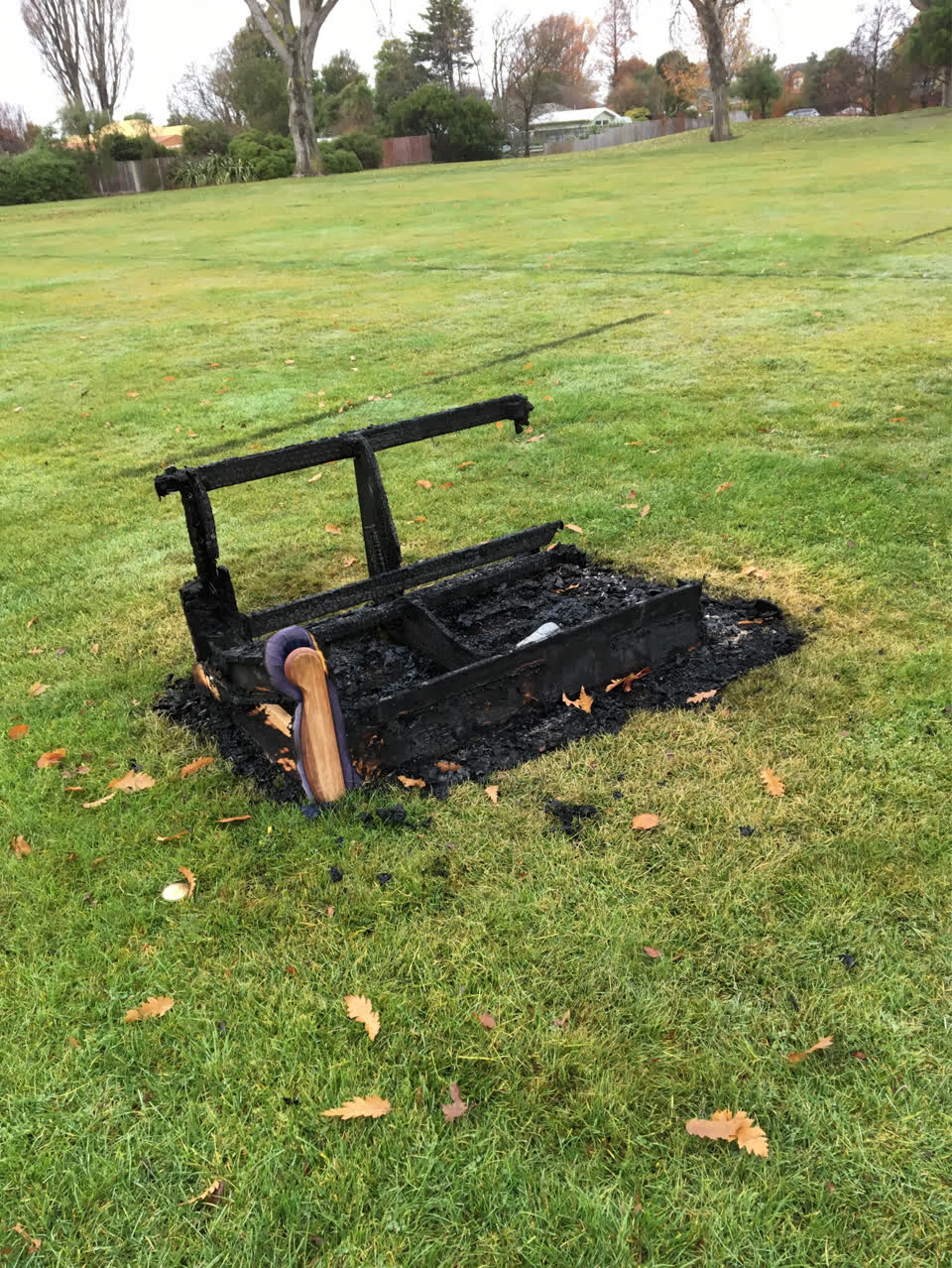The photograph attached to this parks report