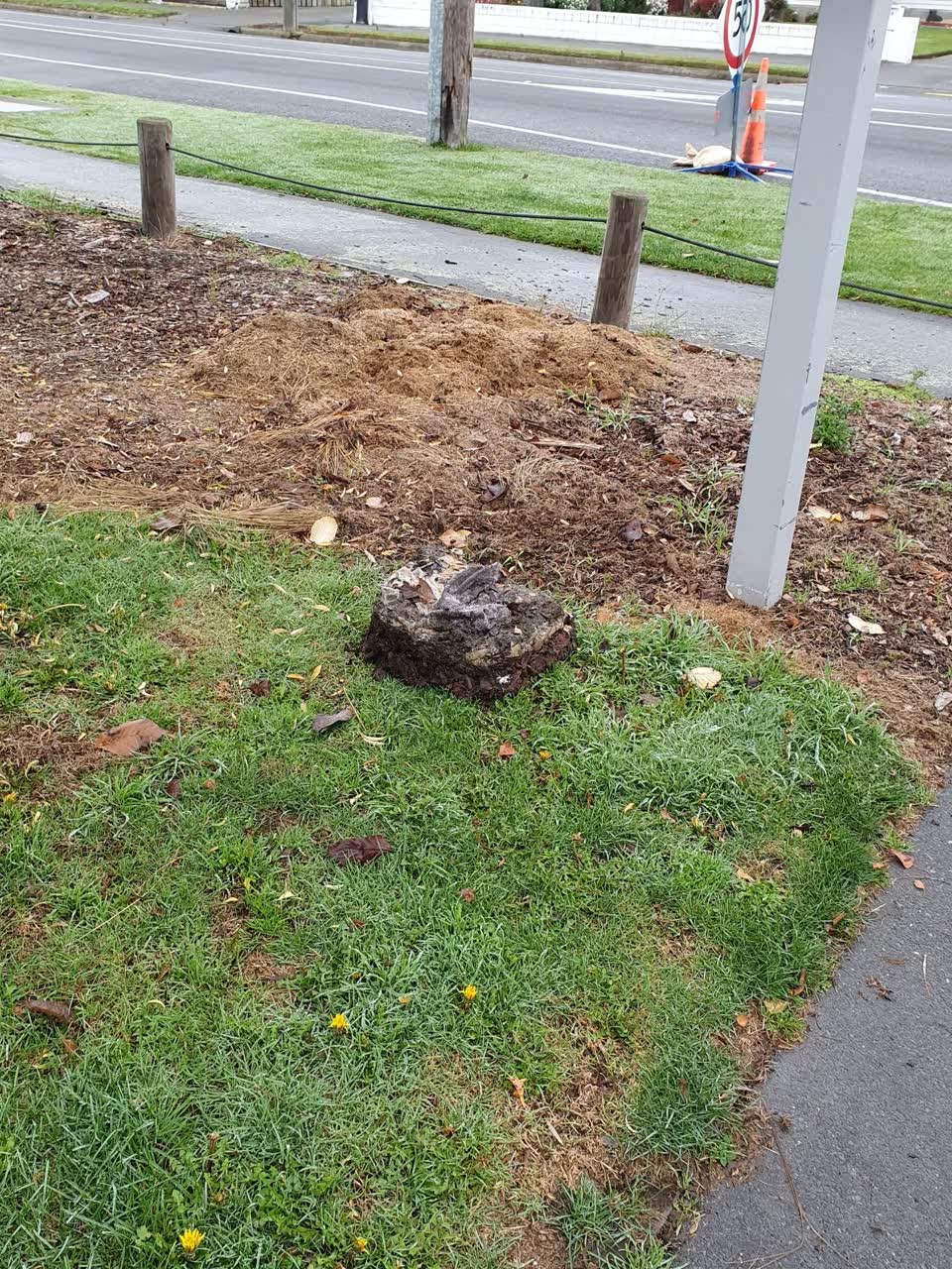 The photograph attached to this parks report