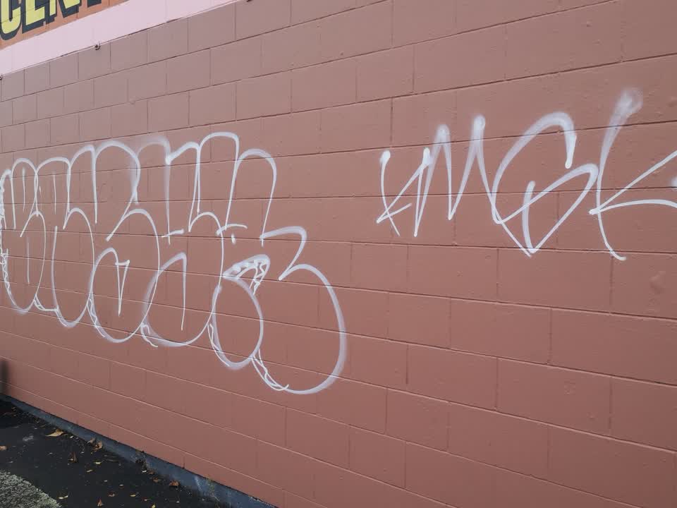 The photograph attached to this graffiti report