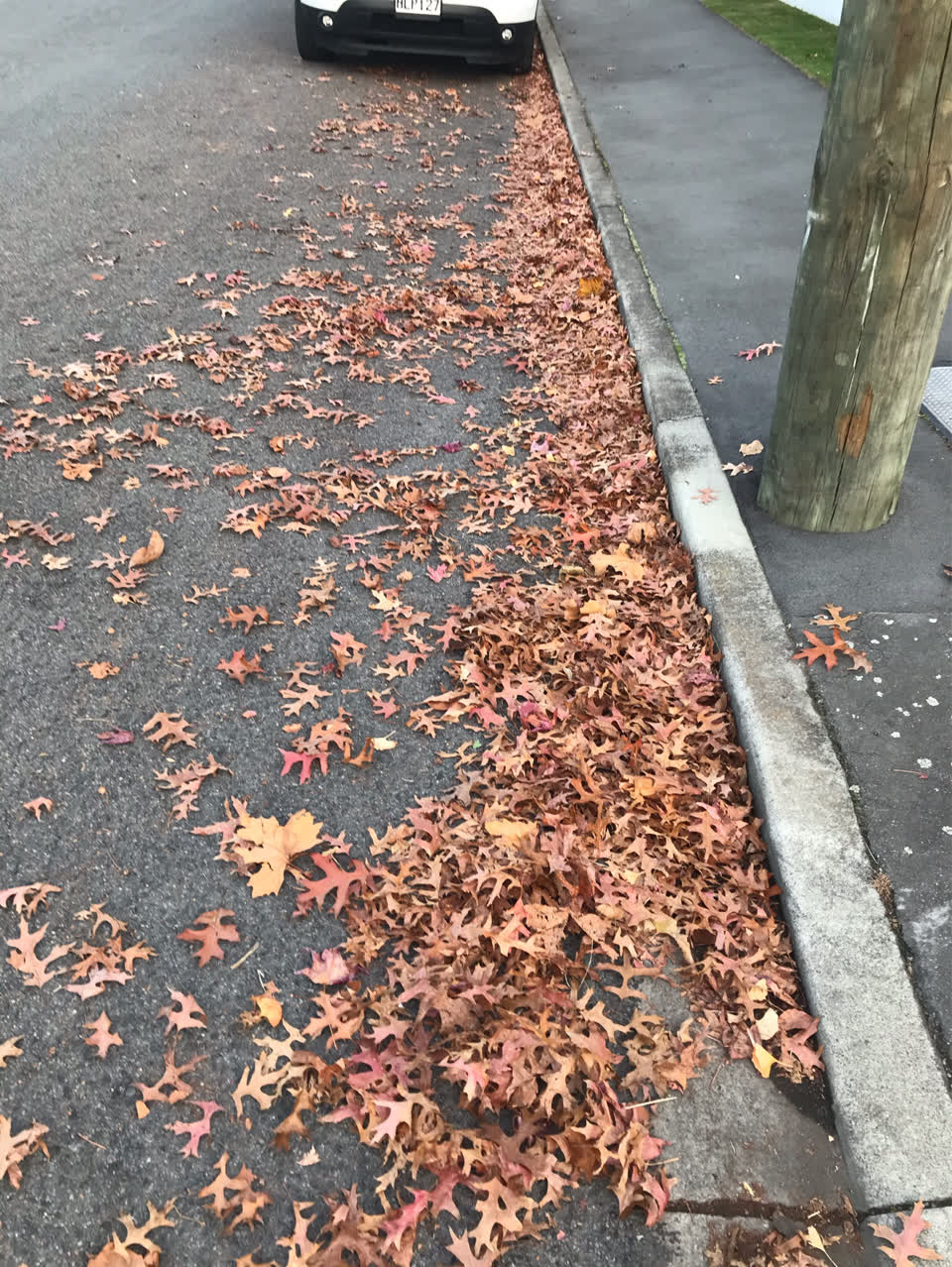 The photograph attached to this wastewater/stormwater report