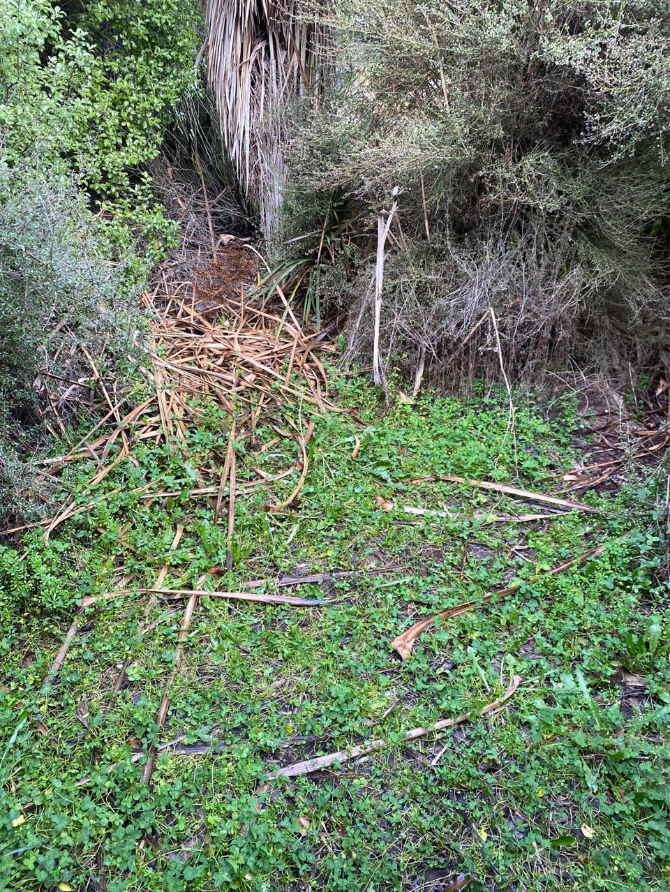 The photograph attached to this parks report