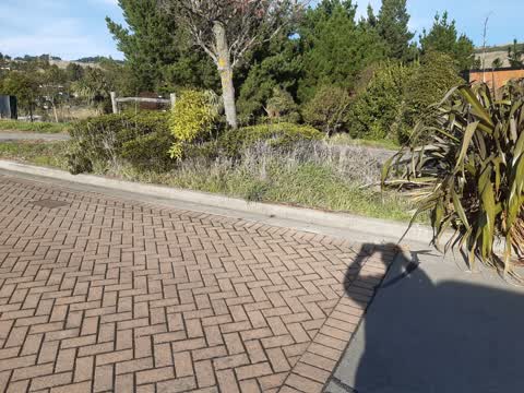 Parks, a report photo