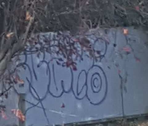 Graffiti, a report photo