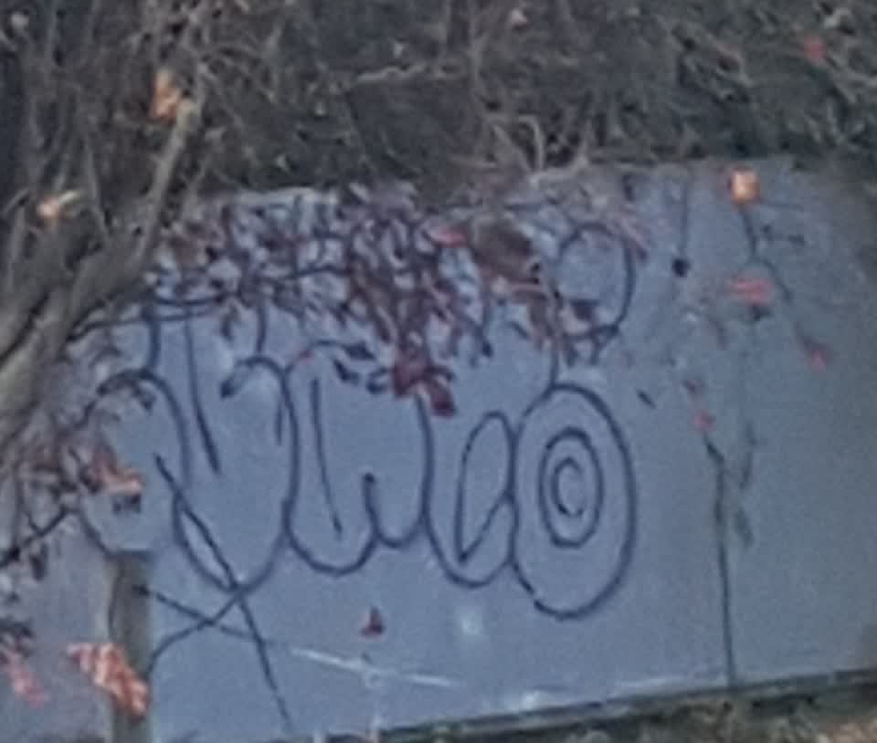 The photograph attached to this graffiti report