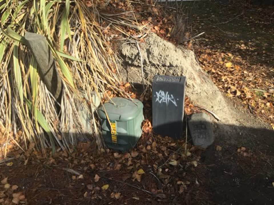 The photograph attached to this graffiti report