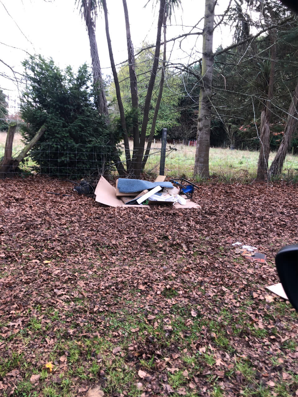 The photograph attached to this rubbish/recycling report