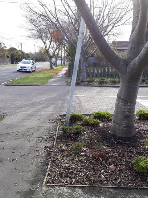 Roading/Streets, a report photo